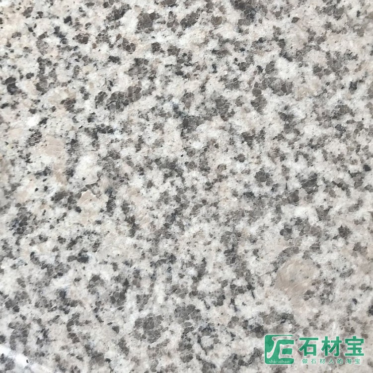 山东芝麻白光面