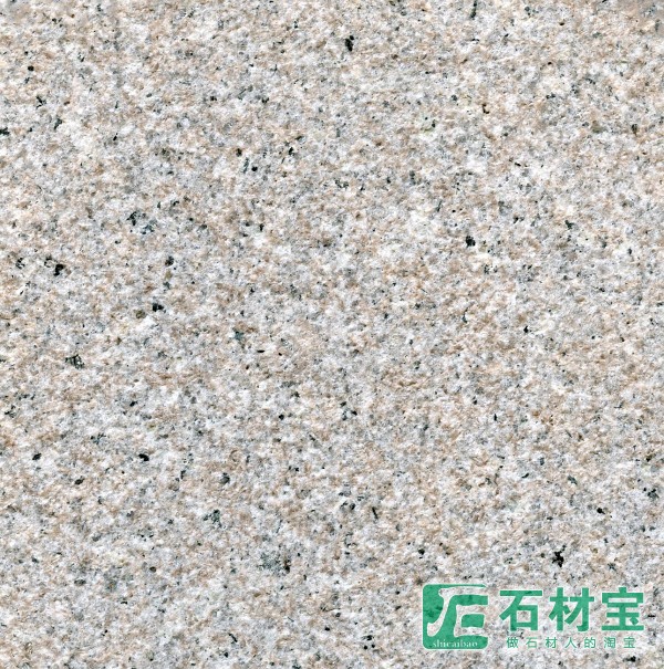 石井虾红G636荔枝面