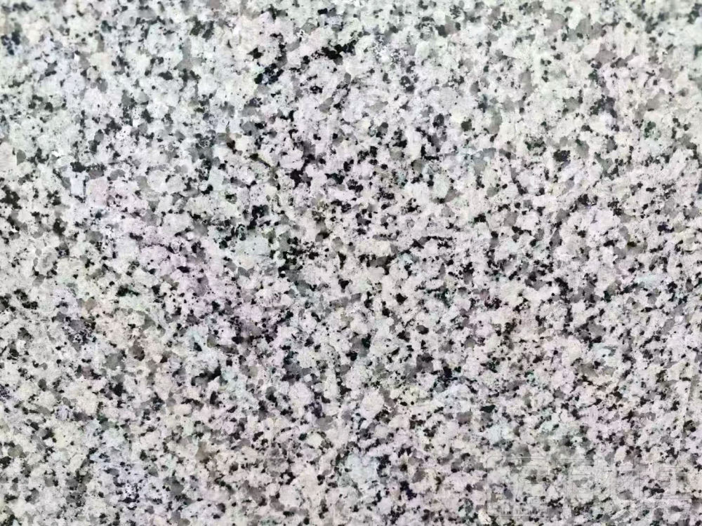 芭拉白