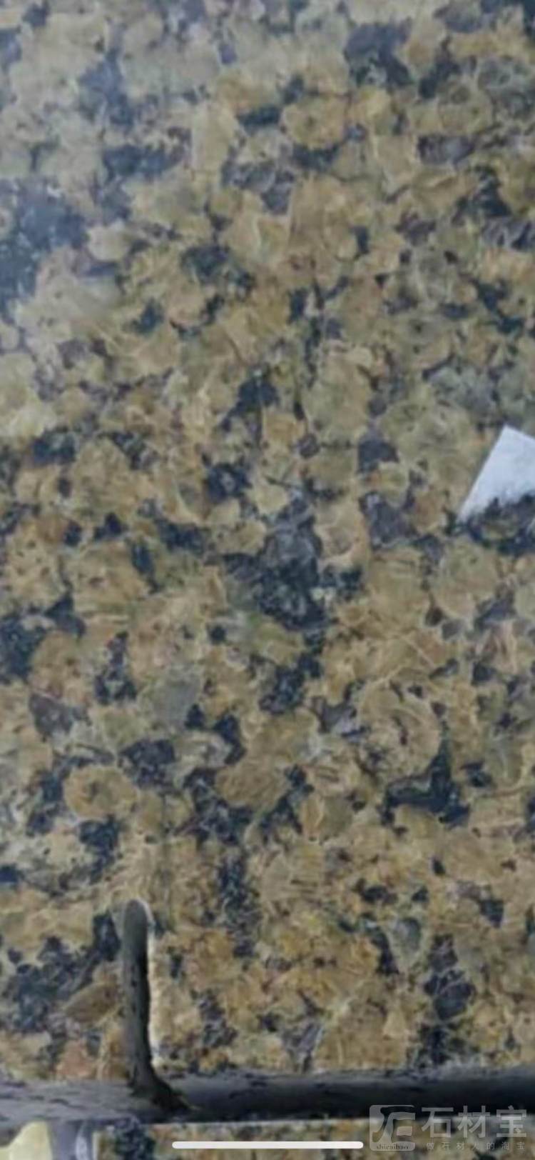 新疆黄金钻(两万平方)