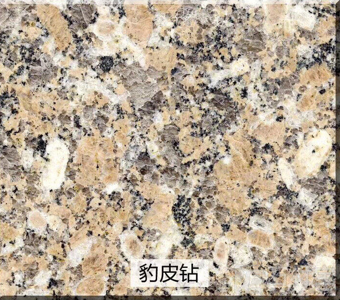 豹皮钻