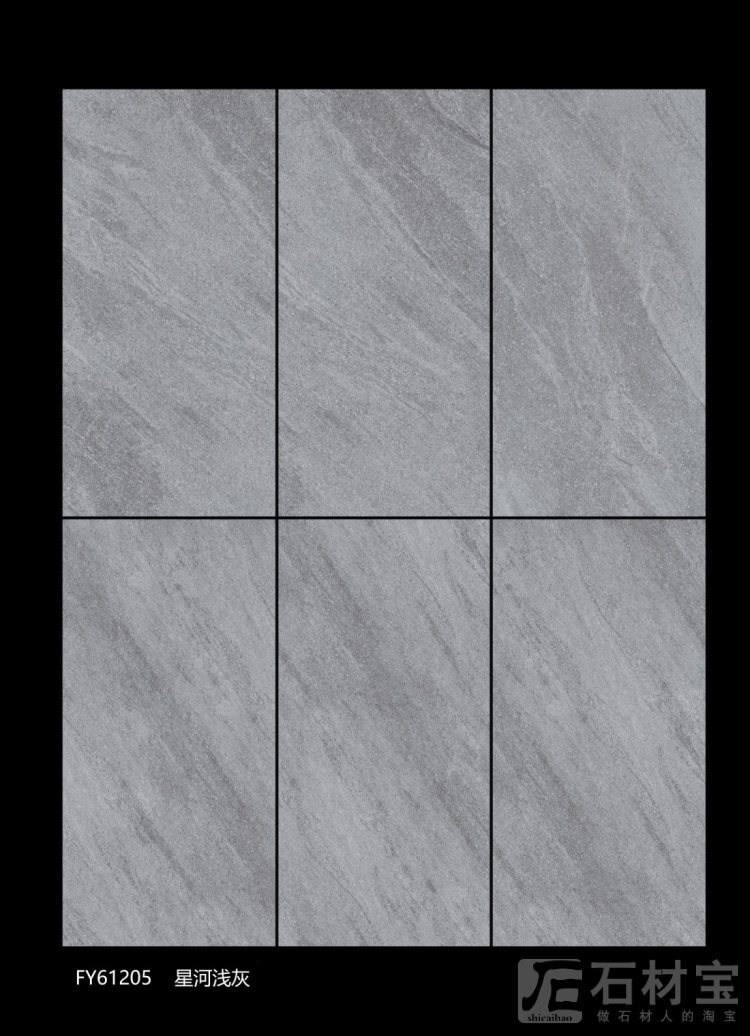 FY61205