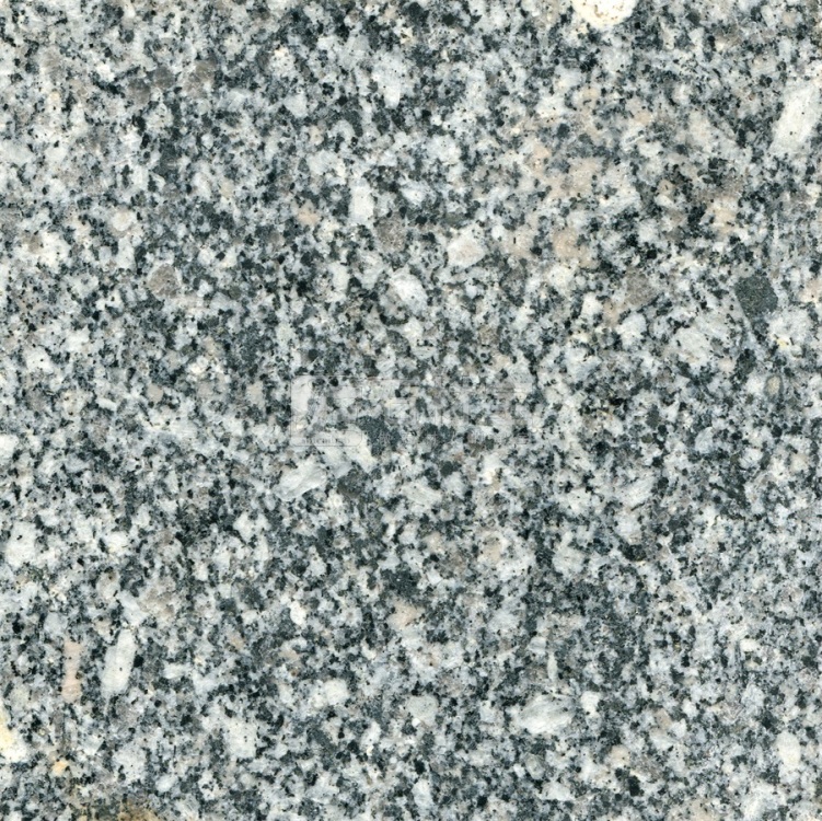 金塔灰麻