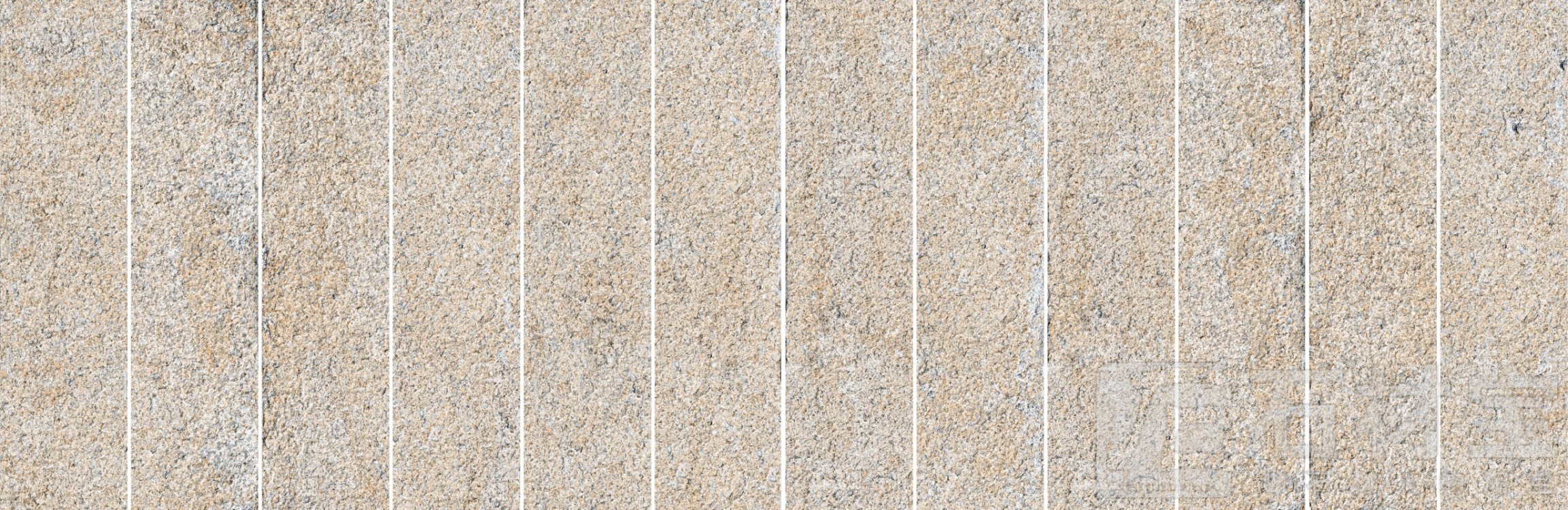 FSC3123