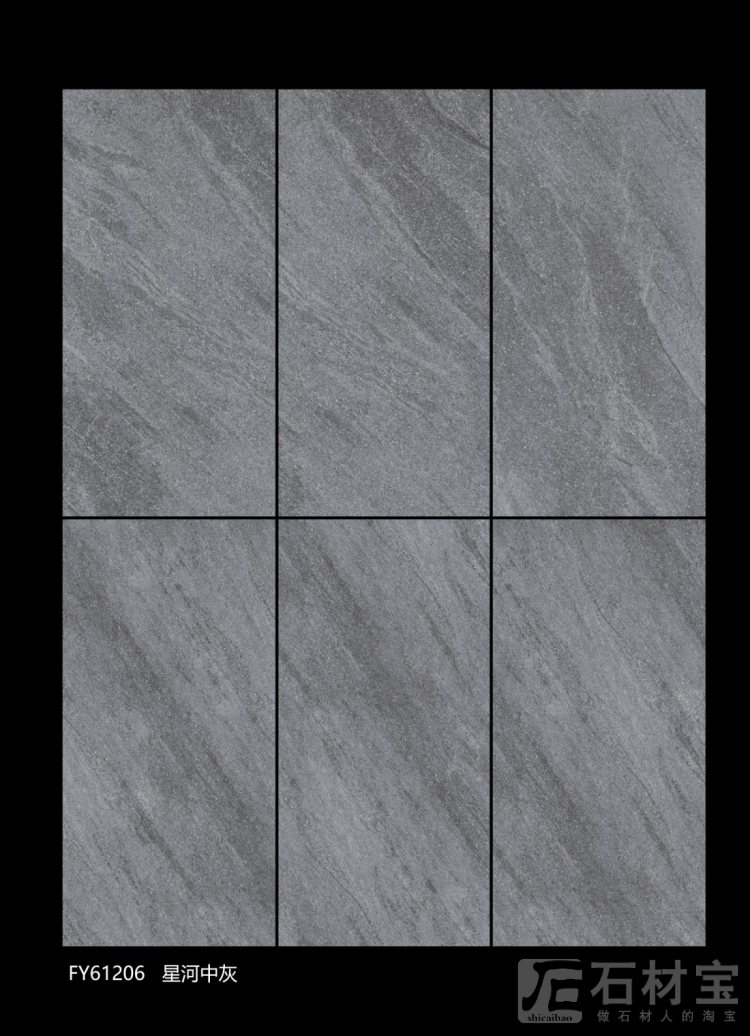 FY61206