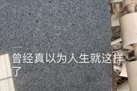 柬埔寨芝麻黑G654细花