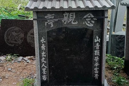 钟山青 芝麻黑