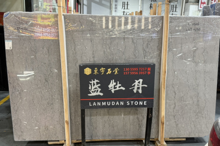 蓝牡丹