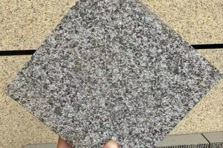 钟山青 芝麻黑