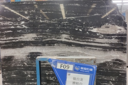 银白龙