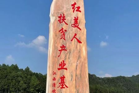 门牌石 村牌石 立体刻字石 景观石