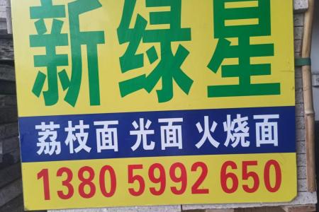 新绿星