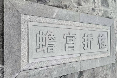 芝麻白雕刻