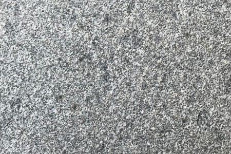 章丘黑