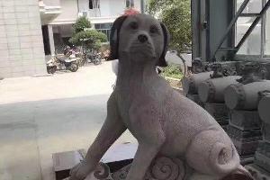 十二生肖