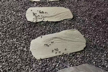 汀步