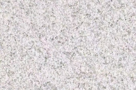 新珍珠白荔枝面