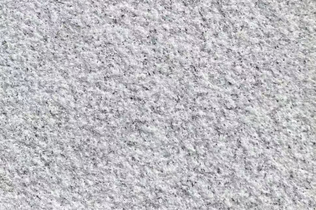 山东白麻荔枝面