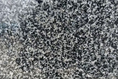 广元芝麻黑