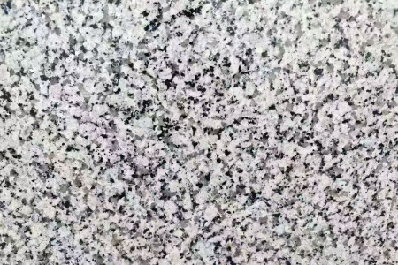 芭拉白
