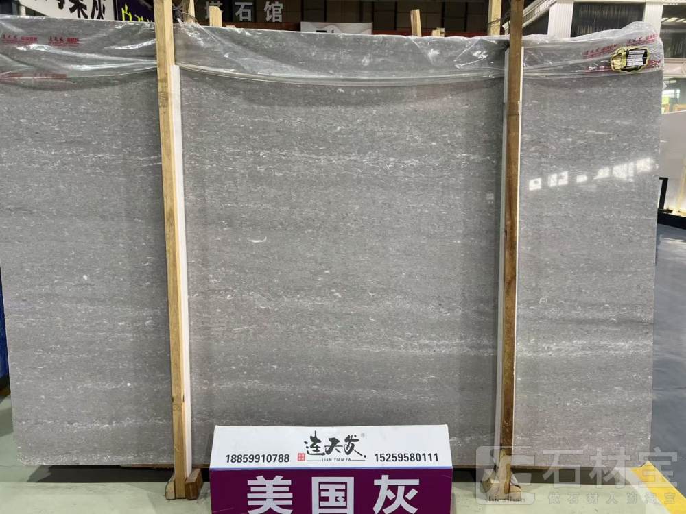 美国灰
