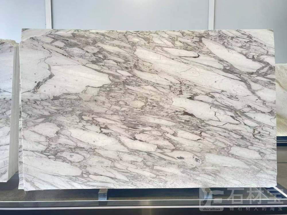 大花白（宝格丽白）