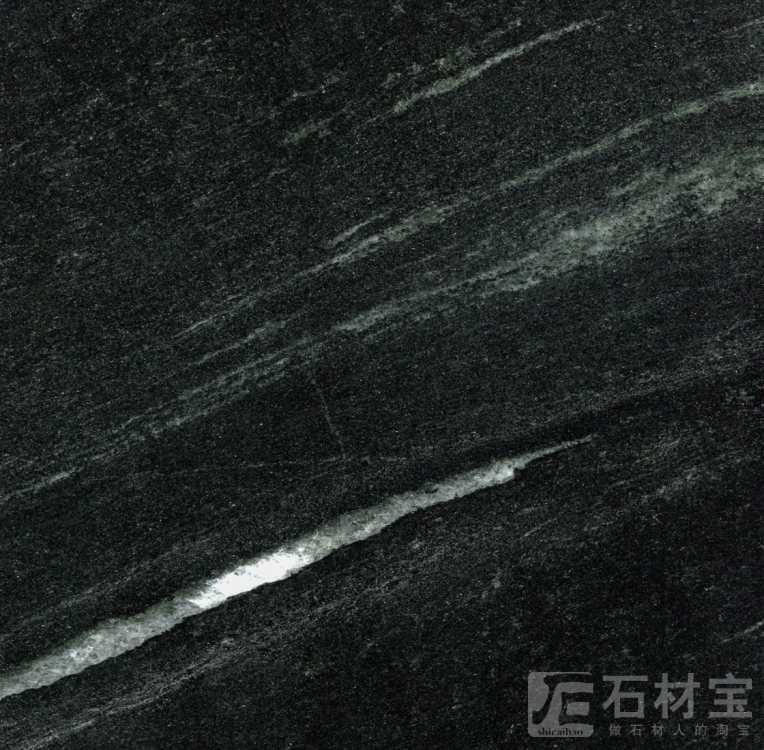 巴西利亚黑斜纹