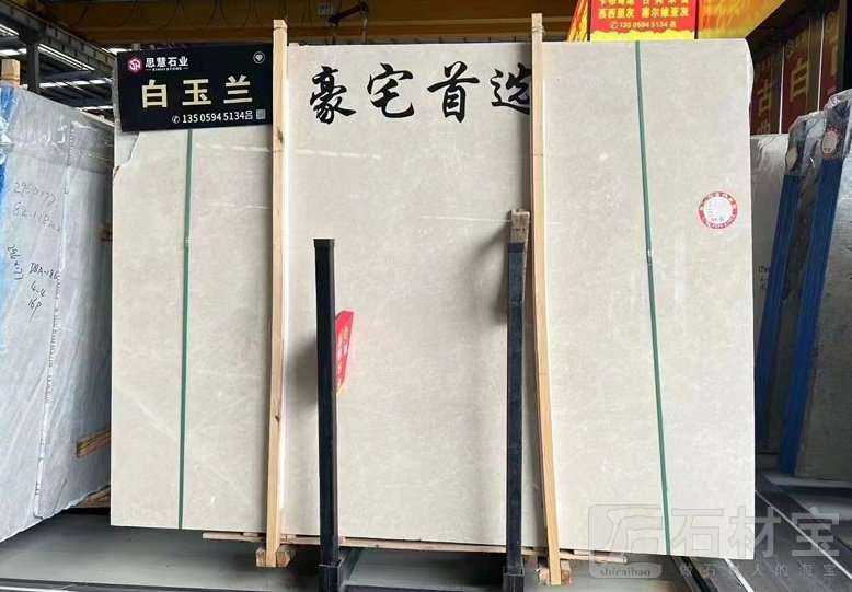 白玉兰