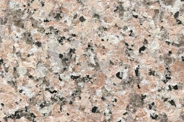 粉红麻(火烧面)