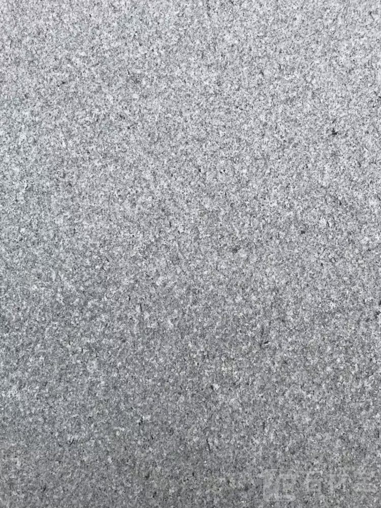 金点灰麻