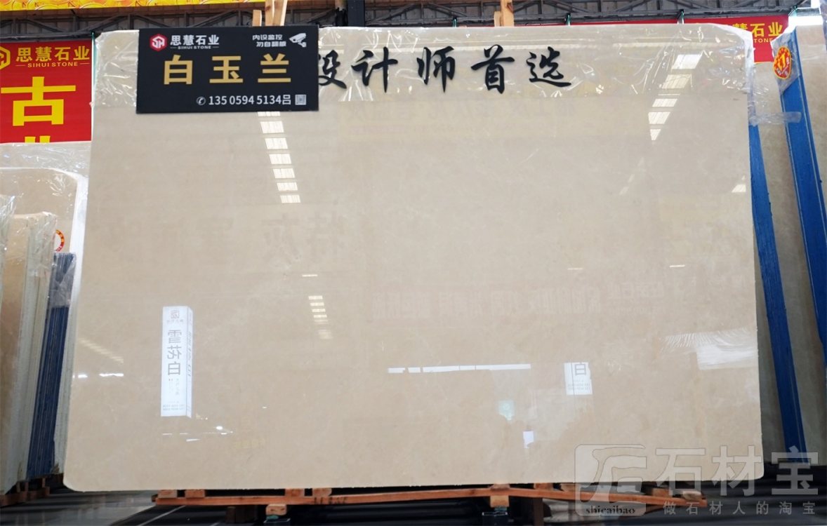 白玉兰