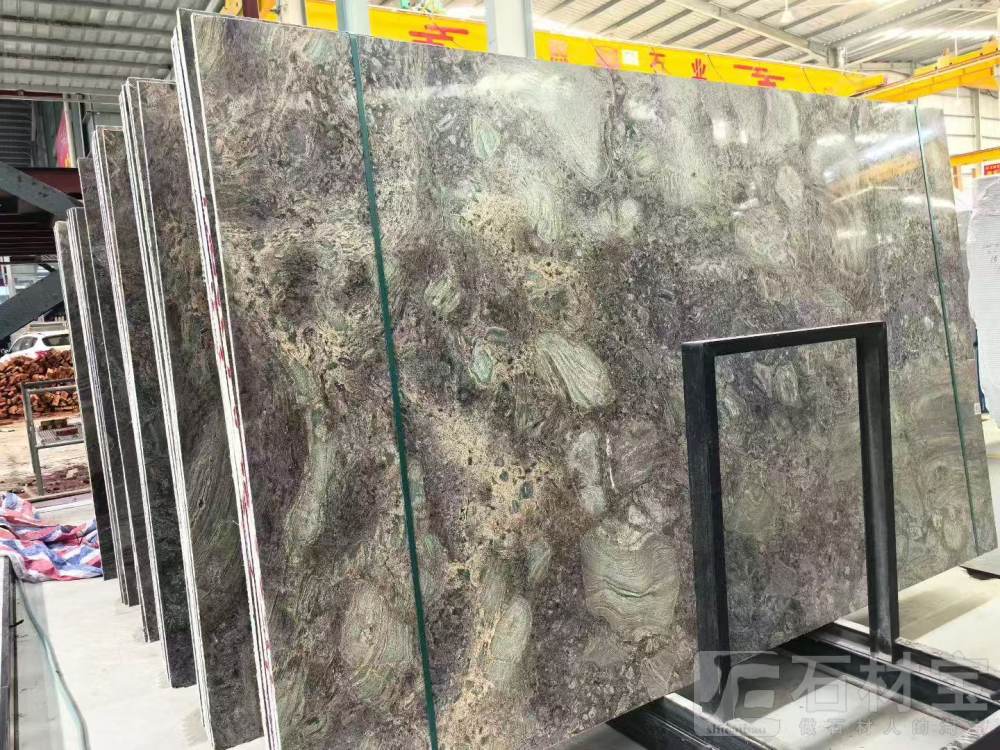 亚马逊森林