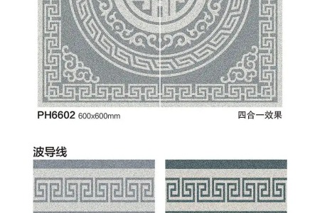 PH6602