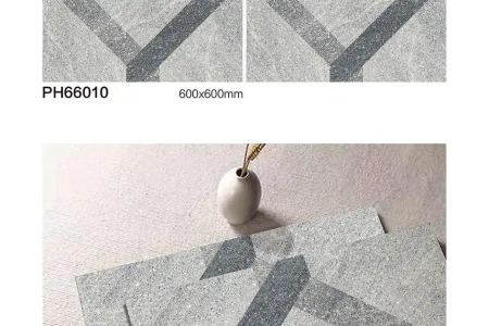 PH66010