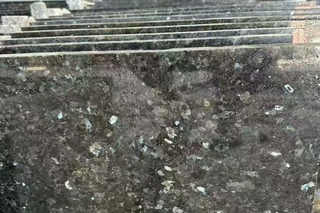 新绿星