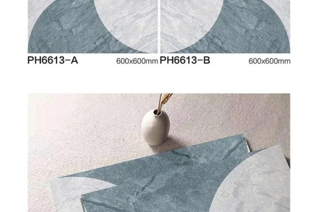 PH6613