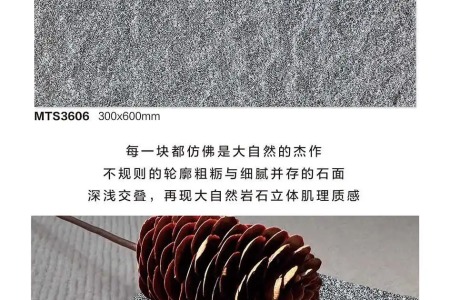 MTS3606