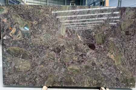 亚马逊森林