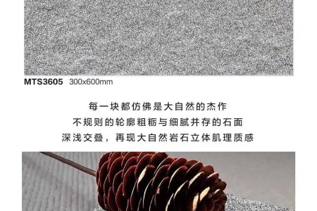 MTS3605