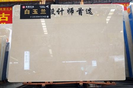 白玉兰
