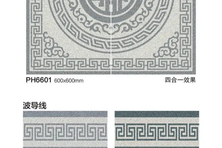 PH6601