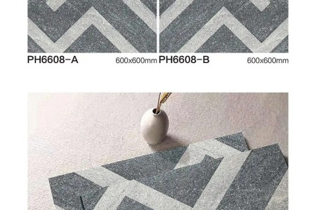 PH6608