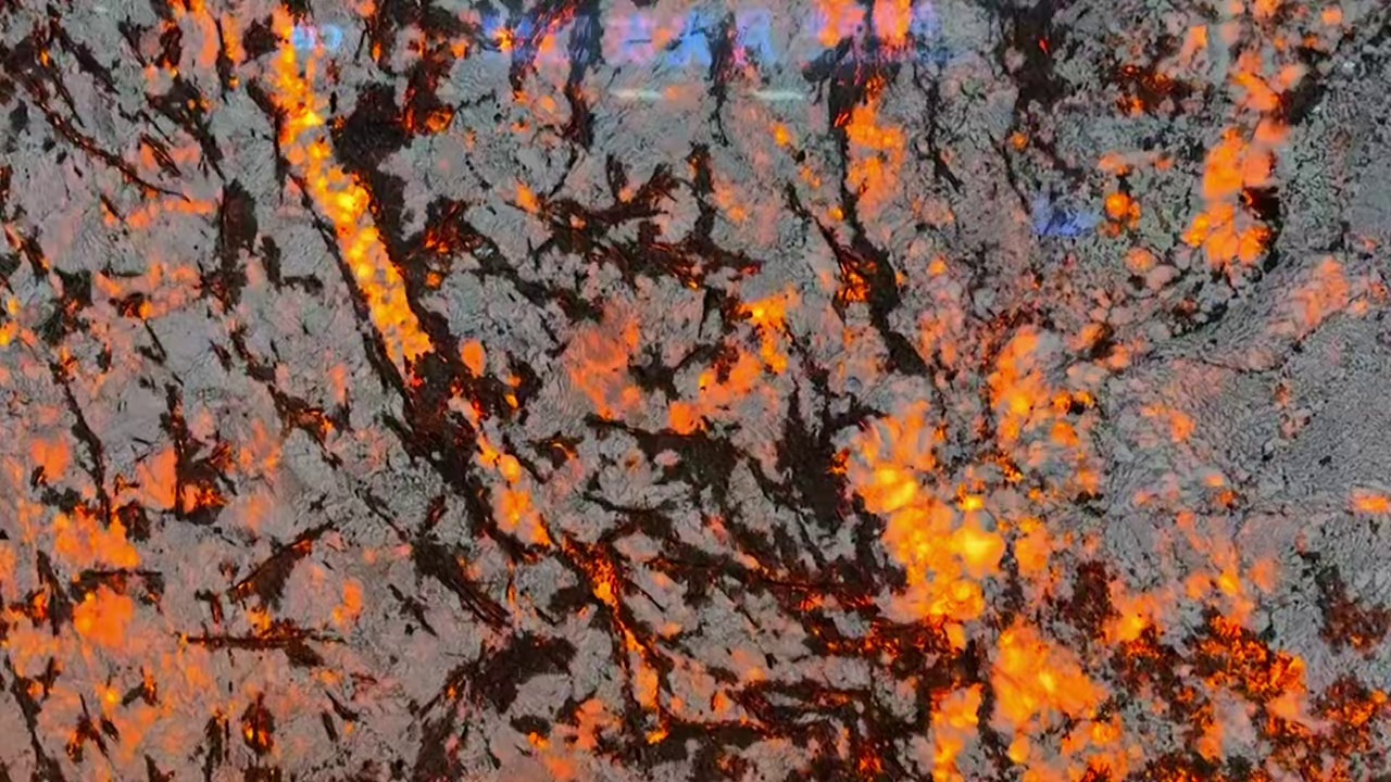 雪山，迎客松，发财树，金枝玉叶，麒麟送福