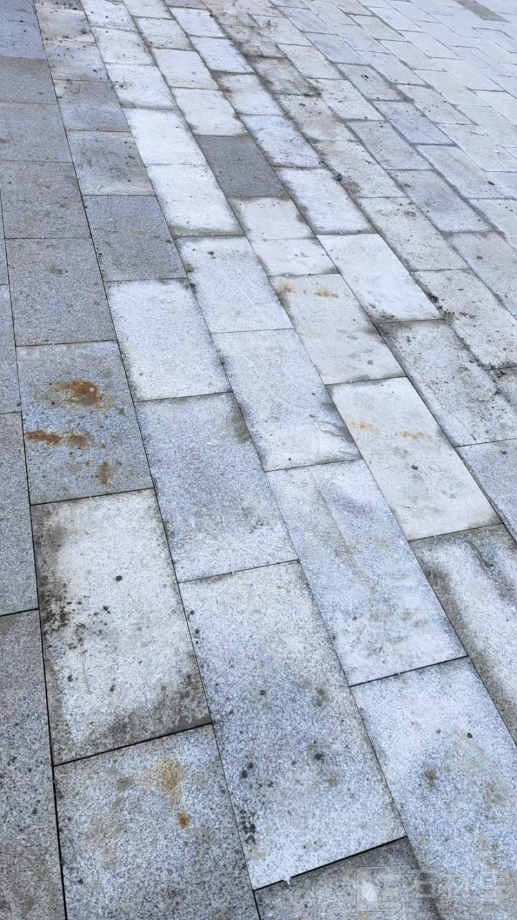 芝麻白特价处理的质量就这样