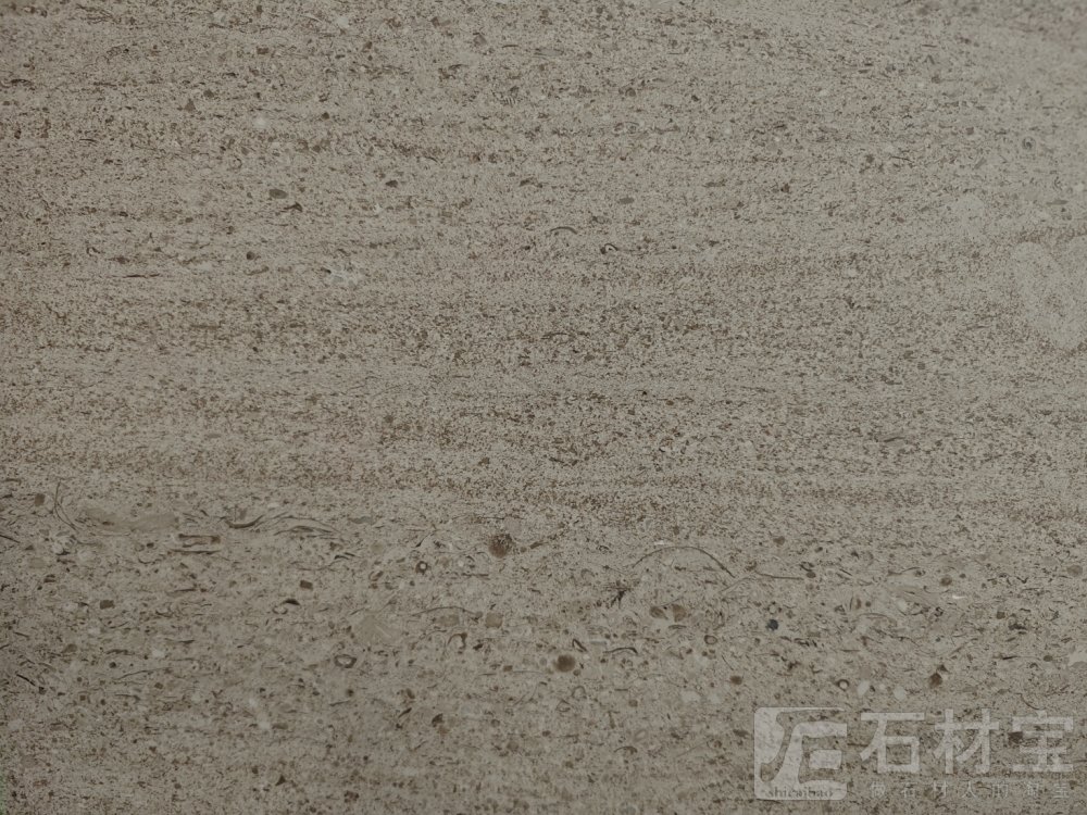 沙漠风