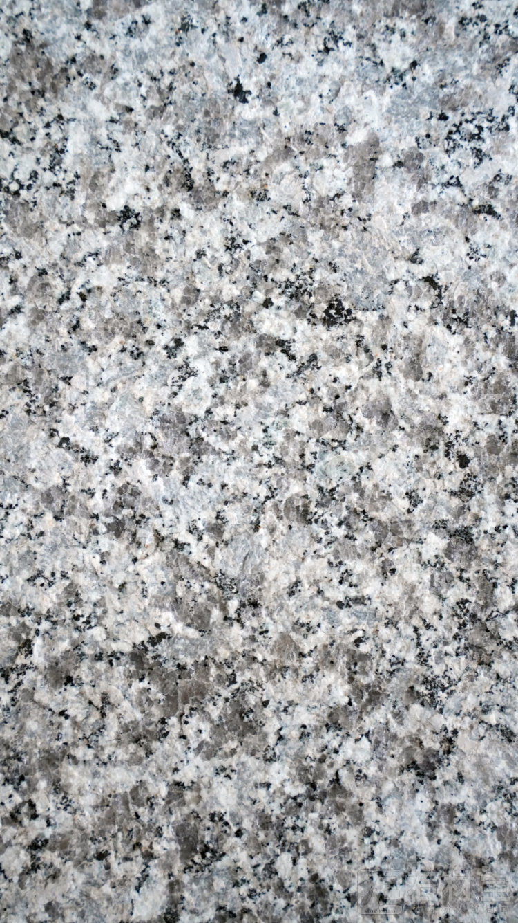 天鹅蓝火烧面（近）