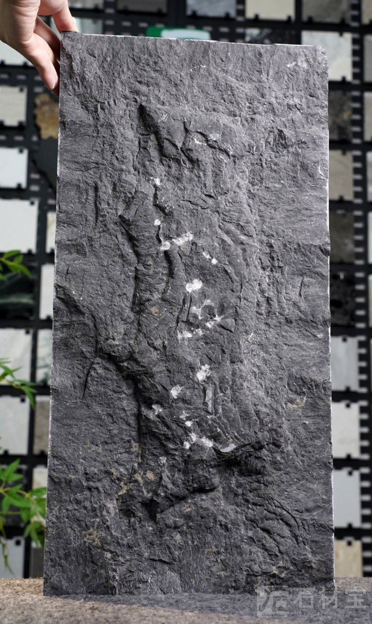 金沙黑·中国黑蘑菇石