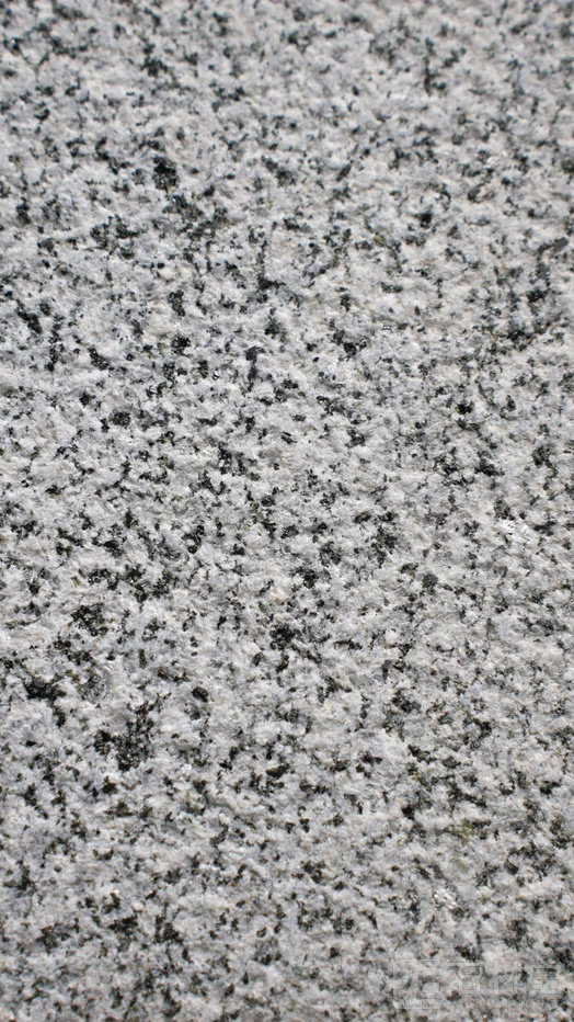 兴国芝麻灰荔枝面