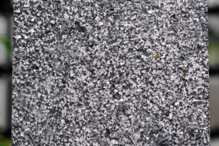 金沙黑·中国黑荔枝面