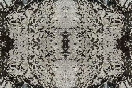 雪山，迎客松，发财树，金枝玉叶，麒麟送福